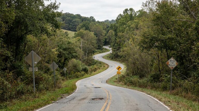 Una strada di campagna nel Biellese con alberi ai lati della carreggiata